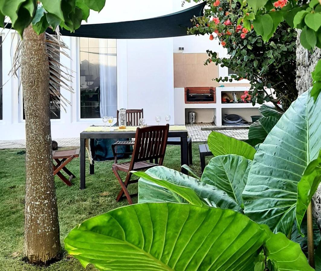 Vila Nikau - Garden By The Sea Lagoa  Extérieur photo